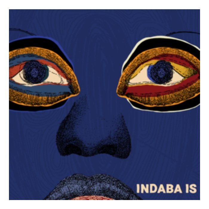 VARIOUS ARTISTS - INDABA IS (2LP)
