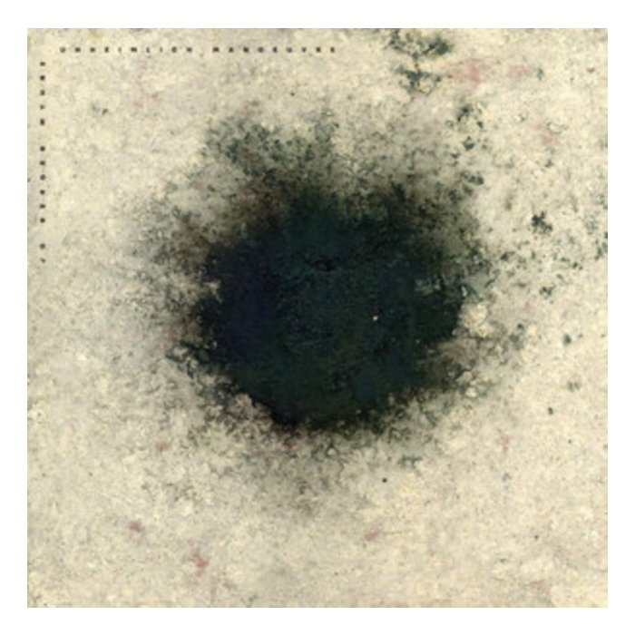 Unheimlich Manoeuvre (Transparent Crystal Vinyl) - Jo Berger Myhre