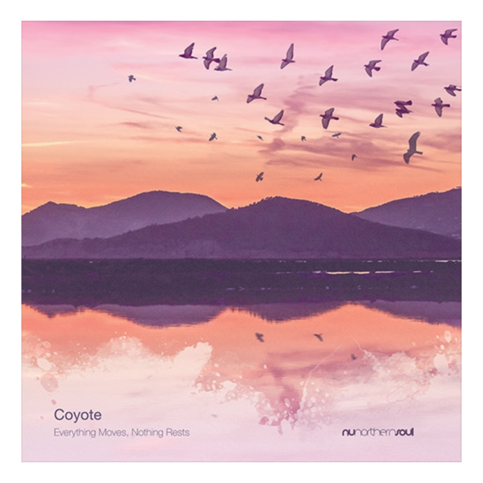 COYOTE - EVERYTHING MOVES