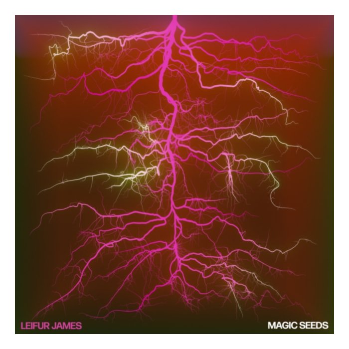 Magic Seeds (180G) - Leifur James