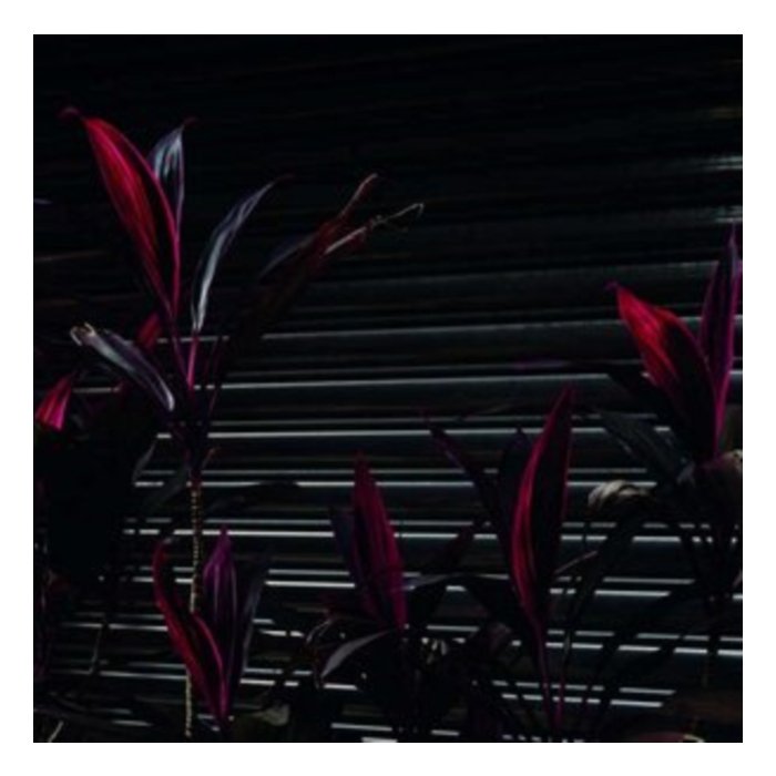 FINE PLACE - THIS NEW HEAVEN