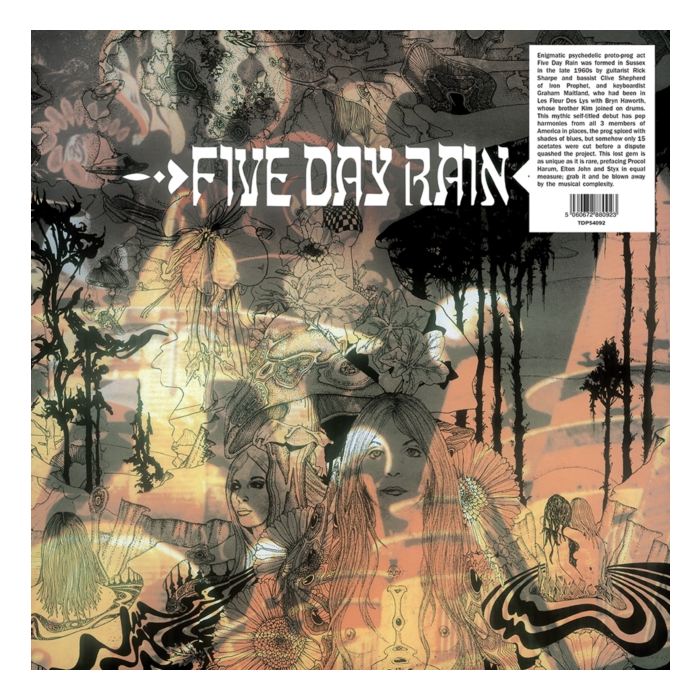FIVE DAY RAIN - FIVE DAY RAIN