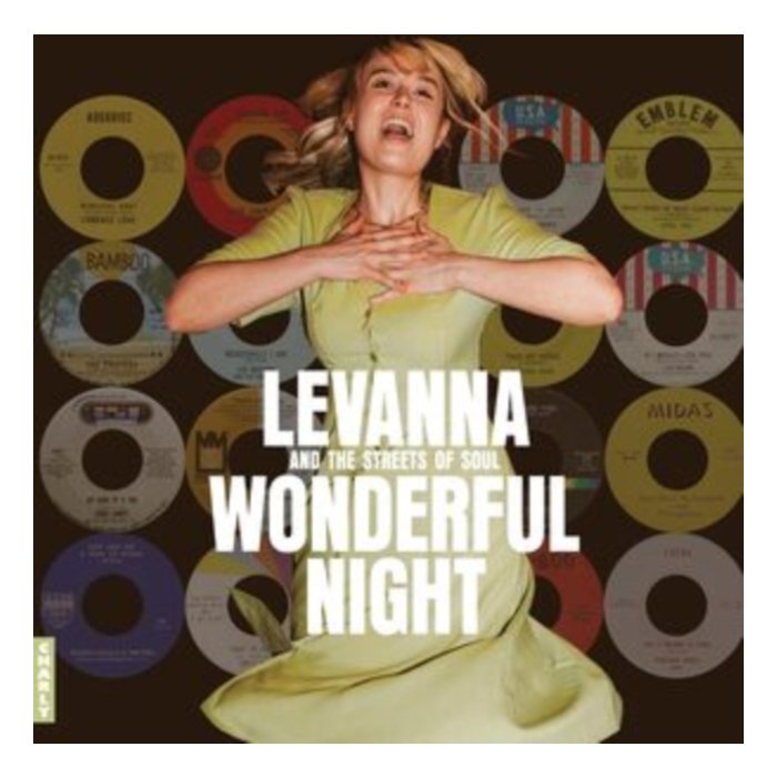VARIOUS ARTISTS - WONDERFUL NIGHT