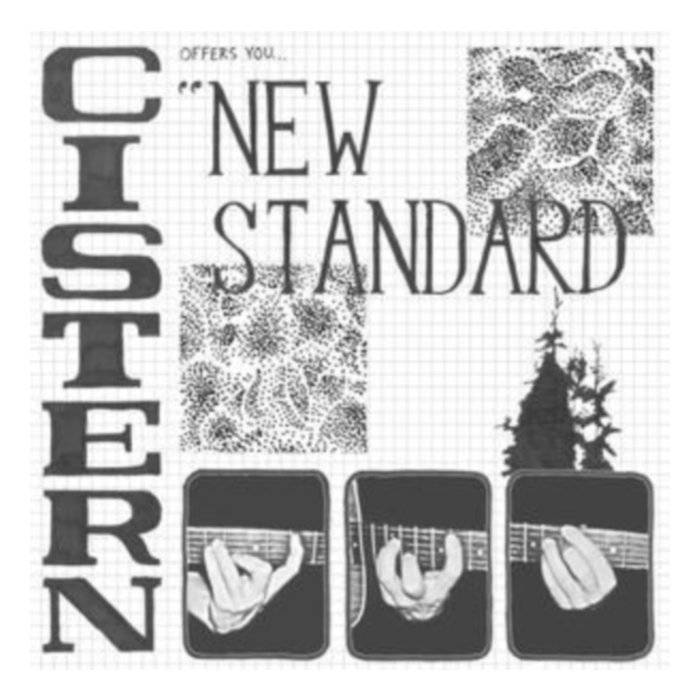 New Standard - Cistern