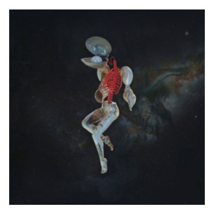 Fossil Garden (Green Marbled Vinyl) - Hail Spirit Noir