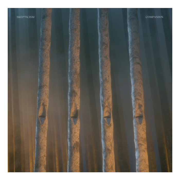 SKEPTICISM - COMPANION