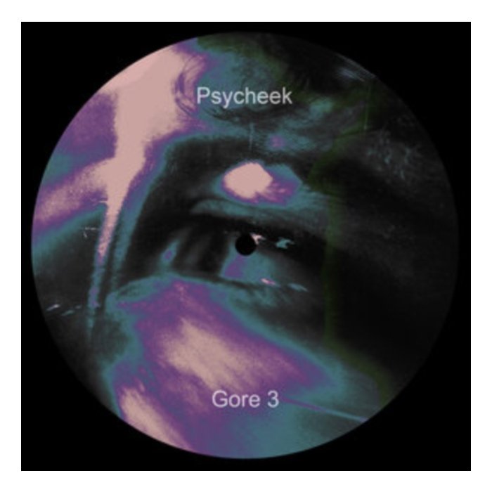 PSYCHEEK - GORE 3