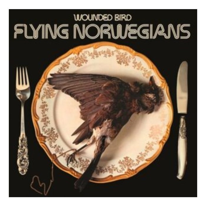 FLYING NORWEGIANS - WOUNDED BIRD