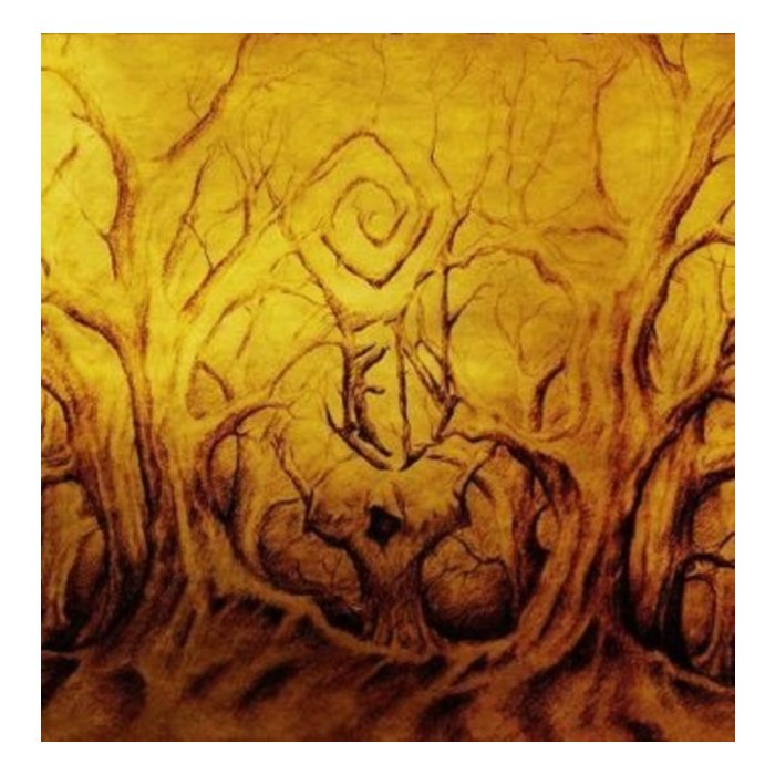 FEN - MALEDICTION FIELDS