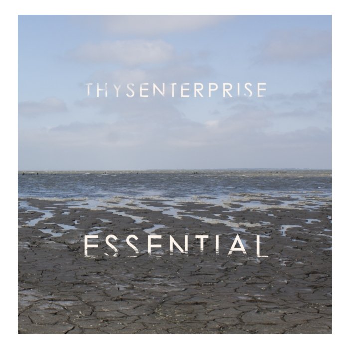THYSENTERPRISE - ESSENTIAL (2LP)