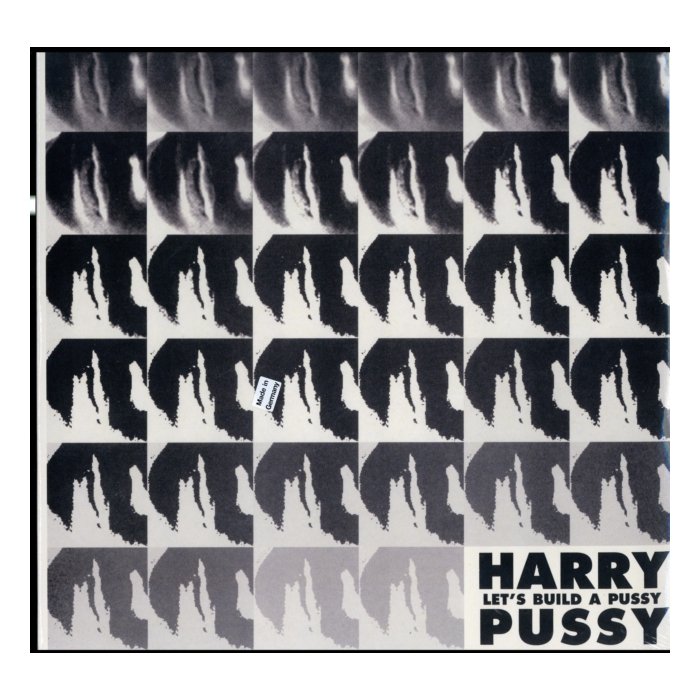 HARRY PUSSY - LET'S BUILD A PUSSY (2LP)