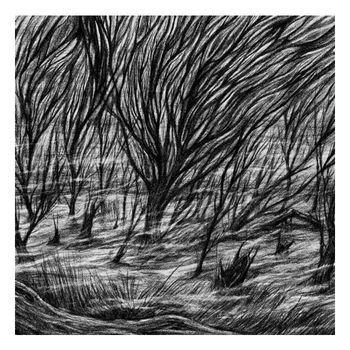 BISMUTH - ETERNAL MARSHES